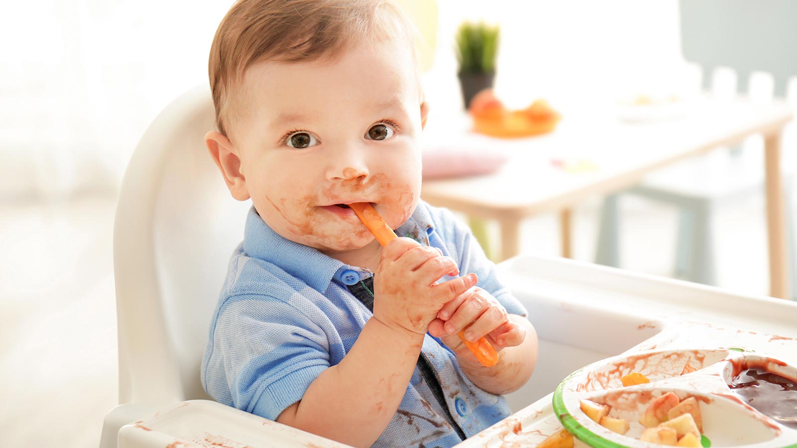 9 Myths and Truths About Starting Solids – Sharon Mazel