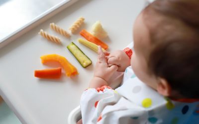 Baby Meal Schedule and Food Amounts